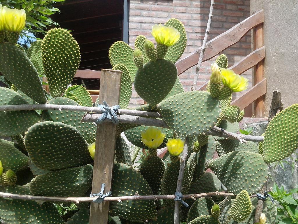 Cabanas El Dominador La Falda Luaran gambar